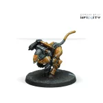 Sù-Jiàn Immediate Action Unit