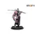 Beasthunters Free Guild (Tactical Bow)