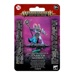 Tzaangor Shaman