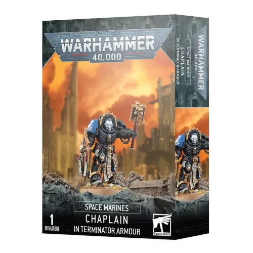 Chaplain In Terminator Armour
