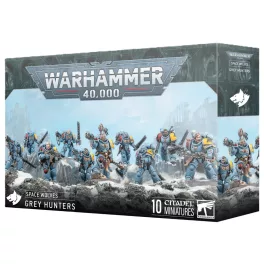 Space Wolves: Grey Hunters
