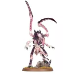 Lictor