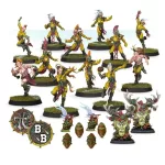 Blood Bowl: Wood Elf Team