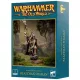 Beastmen Brayherds: Beastman Shaman
