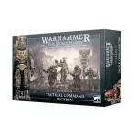 Solar Auxilia Tactical Command Section