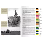 Vehicles Of The Polish 1st Armoured Division (Camouflage Profile Guide)