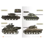 Vehicles Of The Polish 1st Armoured Division (Camouflage Profile Guide)