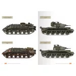 Vehicles Of The Polish 1st Armoured Division (Camouflage Profile Guide)