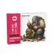 QUICK STARTER SET (8 QUICK GEN + 1 MEDIUM + 1 FREE BRUSH)