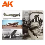 Real Colors Of Wwii Aircraft - En