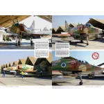 Book - Aces High Magazine Monographic Series: Skyhank