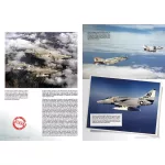 Book - Aces High Magazine Series Monográfica: Skyhank
