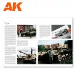 1945 German Colors Profile Guide - En