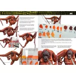 Book - Ak Learning 14 Painting Animal Figures En