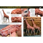 Book - Ak Learning 14 Painting Animal Figures En
