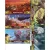 John Carter of Mars: Landscape and Location Card Deck