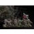 W’adrhun: Braves