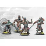 W’adrhŭn: Chosen of Conquest(Dual Kit)