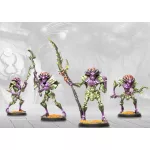 Weaver Courts: Morrowen (formerly known as Myrmidon)