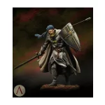 Medieval Knight