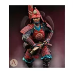 Nobunaga Warrior