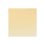 Caucasian Skin