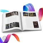 Pepe Gallardo - Timeline Colors (EN)