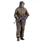 Waffen Soldier