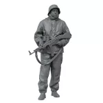 Waffen Soldier